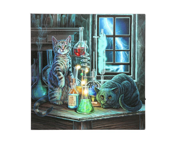 Canvases - Magical Emporium 