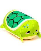 Atlas the Turtle