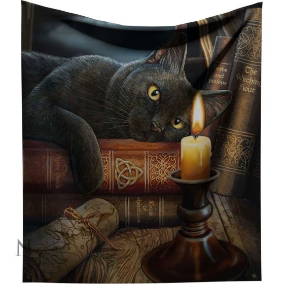 Lisa Parker Witching Hour Throw Witch Cat Blanket Throw