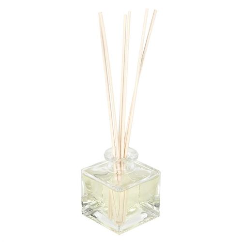 Run Away Vampire Reed Diffuser - Magical Emporium 