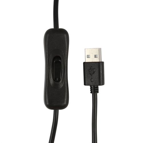 Palm Reading Electric Aroma Lamp - Magical Emporium 