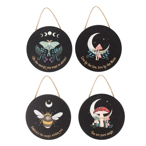 Set of 24 Dark Forest Signs on Display Hanging signs