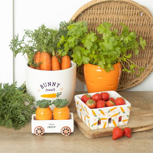 Carrot Patch Ceramic Berry Basket Basket