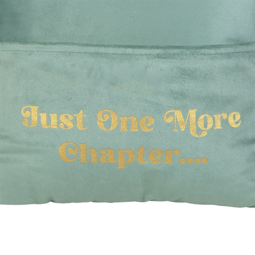 Just One More Chapter Cushion with Book Pocket Cushions